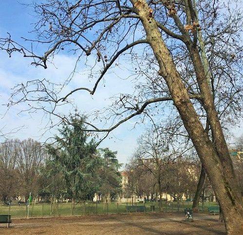 appartamento in vendita a Milano in zona Solari