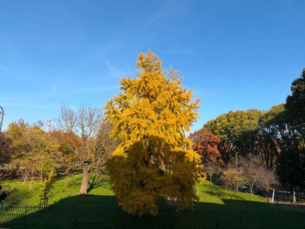 appartamento in vendita a Milano in zona Bovisa