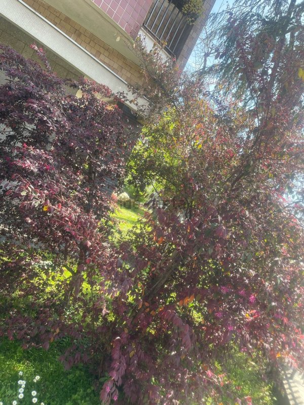 appartamento in vendita a Milano in zona Porta Venezia