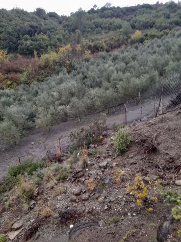 casa indipendente in vendita a Milano in zona Bicocca