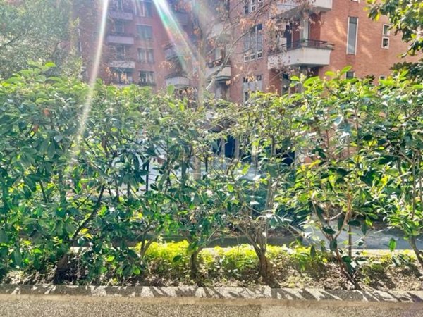 appartamento in vendita a Milano in zona Affori
