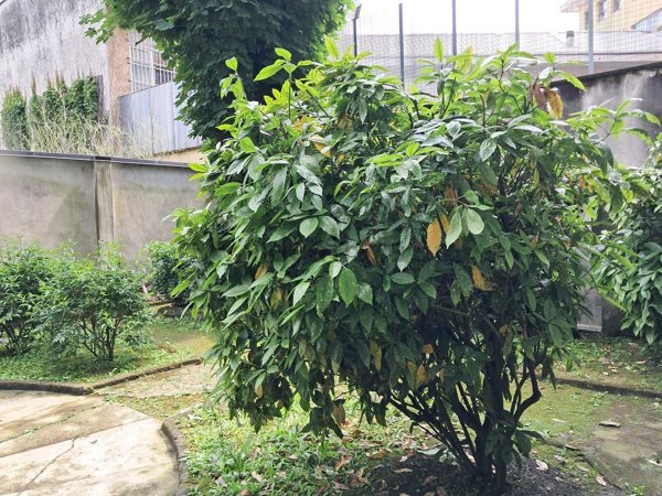 appartamento in vendita a Milano in zona Garegnano