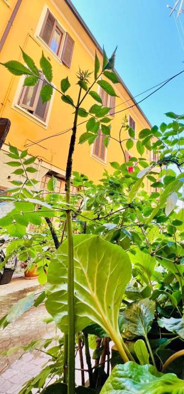 appartamento in vendita a Milano in zona Ghisolfa