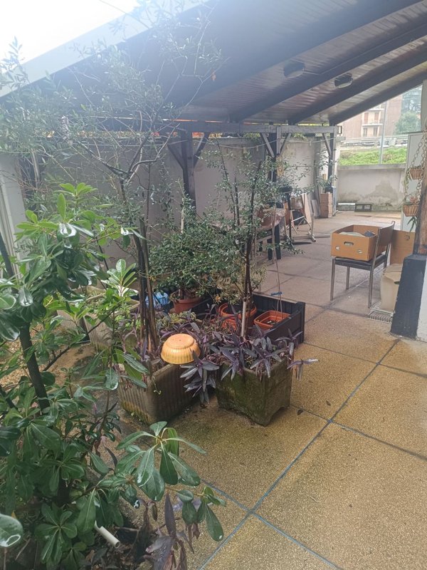 appartamento in vendita a Milano in zona Casoretto