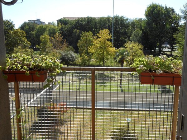 appartamento in vendita a Milano in zona Gorla