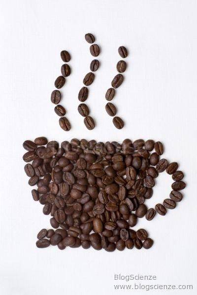 negozio in vendita a Milano