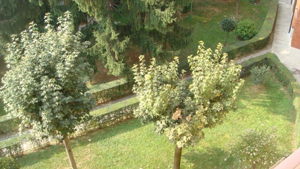 appartamento in vendita a Milano in zona Vialba