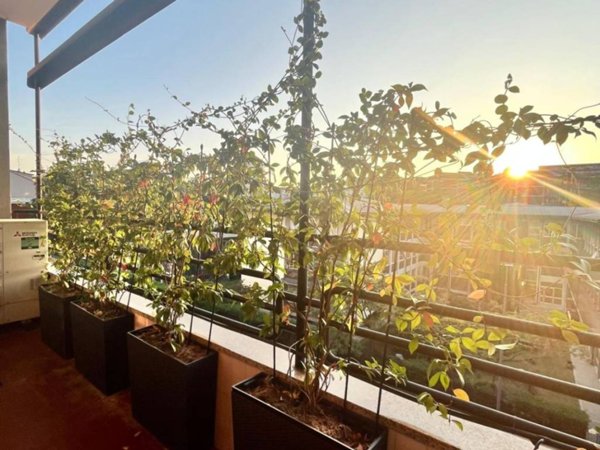 appartamento in vendita a Milano in zona Città Studi