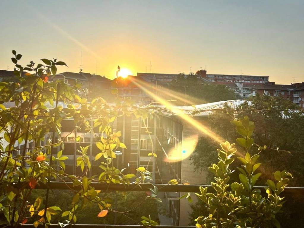 appartamento in vendita a Milano in zona Città Studi