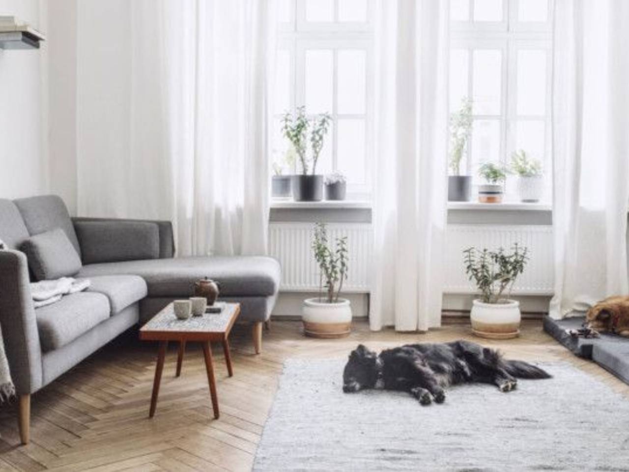 appartamento in vendita a Milano in zona Isola