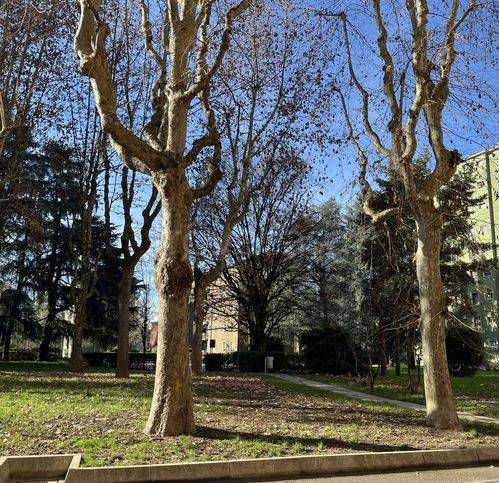 appartamento in vendita a Milano in zona Comasina