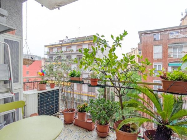 appartamento in vendita a Milano in zona Città Studi