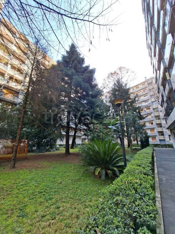 appartamento in vendita a Milano in zona Maggiolina