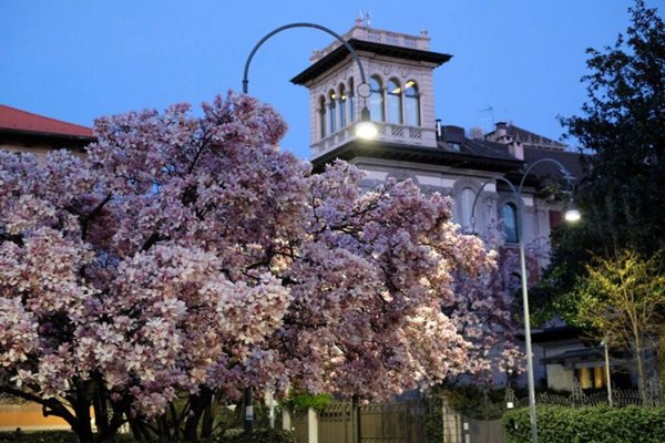 appartamento in vendita a Milano in zona Sempione