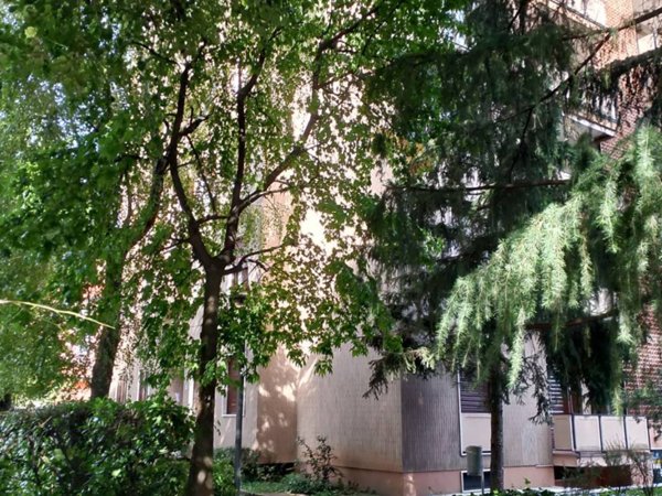 negozio in vendita a Milano in zona Precotto