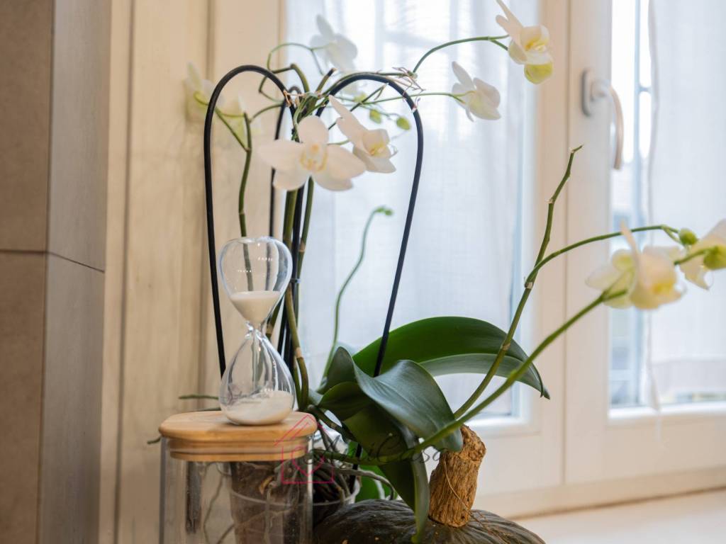 appartamento in vendita a Milano in zona Solari