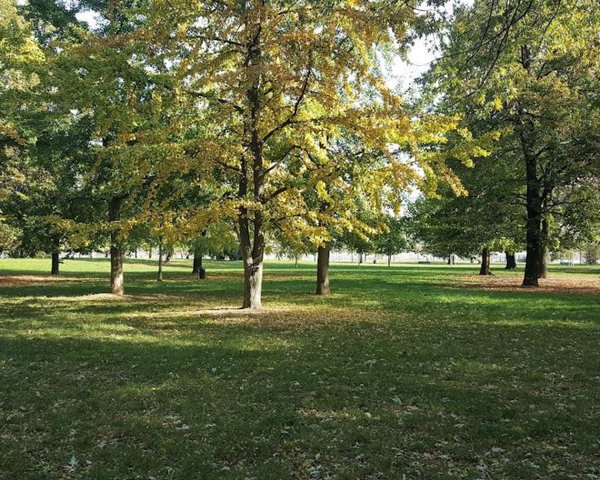 appartamento in vendita a Milano in zona Affori