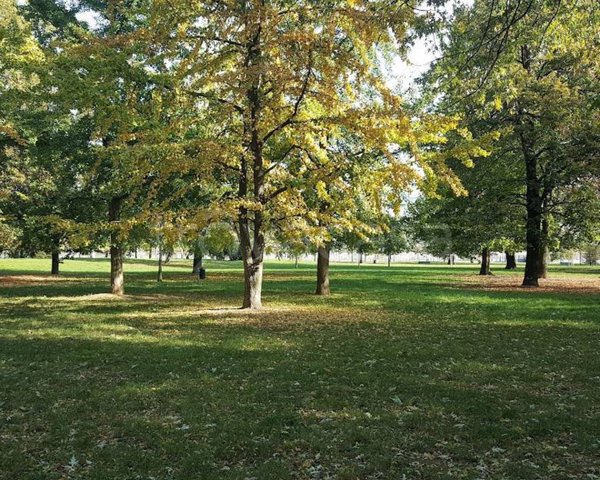 appartamento in vendita a Milano in zona Bovisa