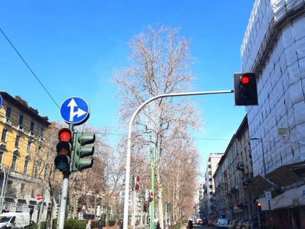 negozio in vendita a Milano in zona Città Studi