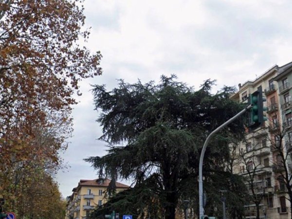 appartamento in vendita a Milano in zona Città Studi