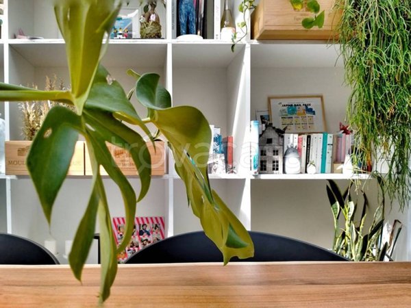 appartamento in vendita a Milano in zona Barona