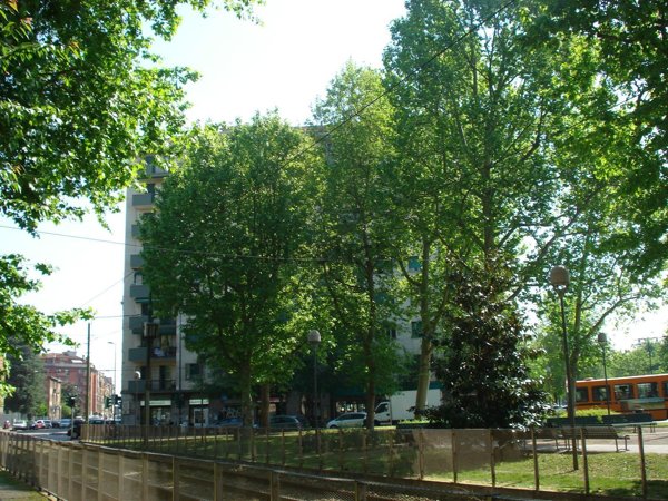 appartamento in vendita a Milano in zona Calvairate