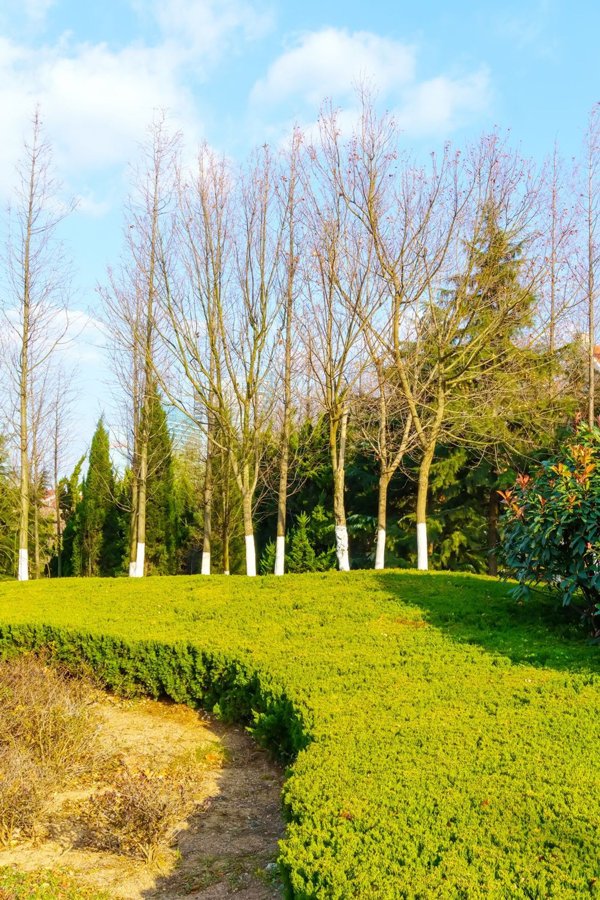 appartamento in vendita a Milano in zona San Siro