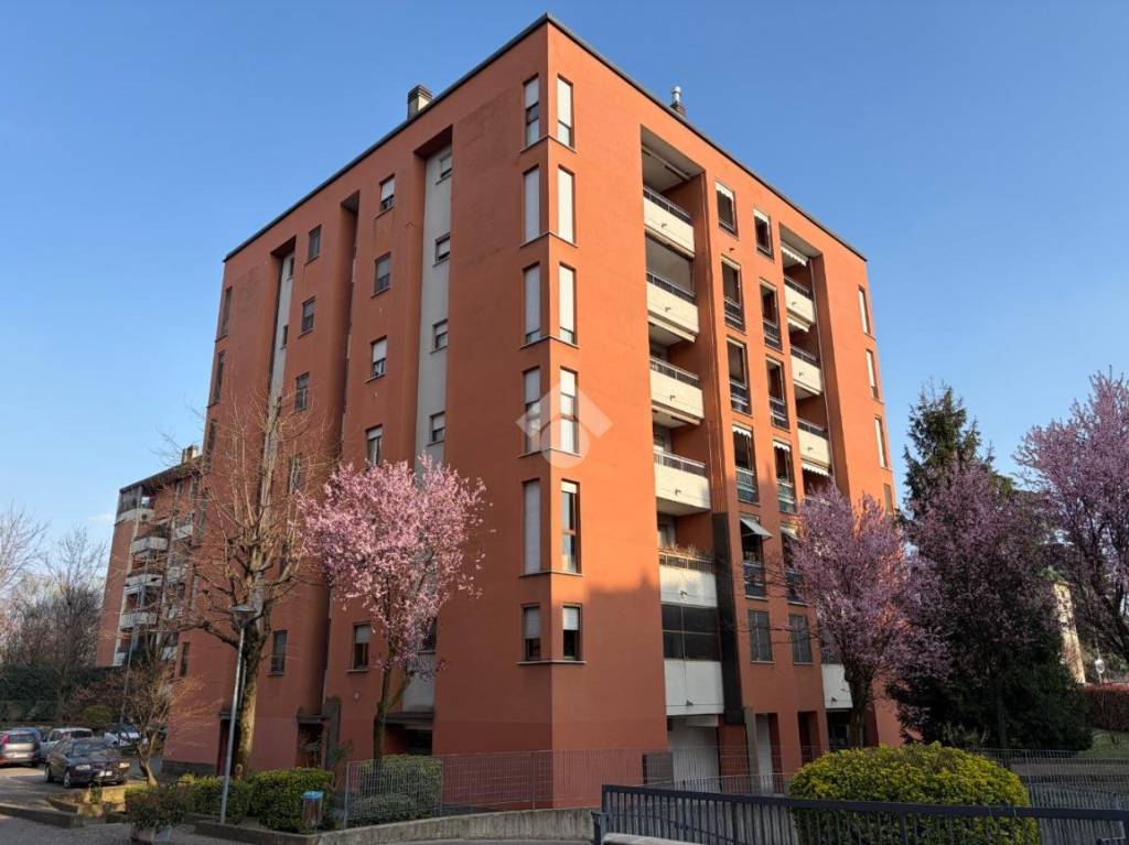 immagine annuncio 0 di 15