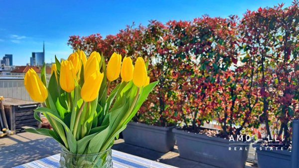 appartamento in vendita a Milano in zona Sempione