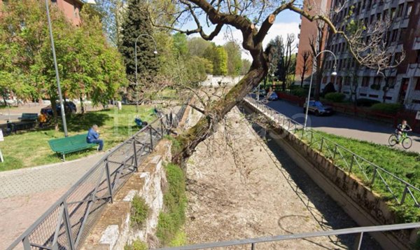 terreno edificabile in vendita a Milano in zona Gorla