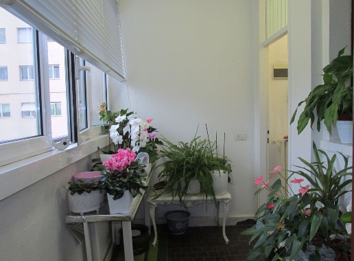 appartamento in vendita a Milano in zona Quarto Cagnino