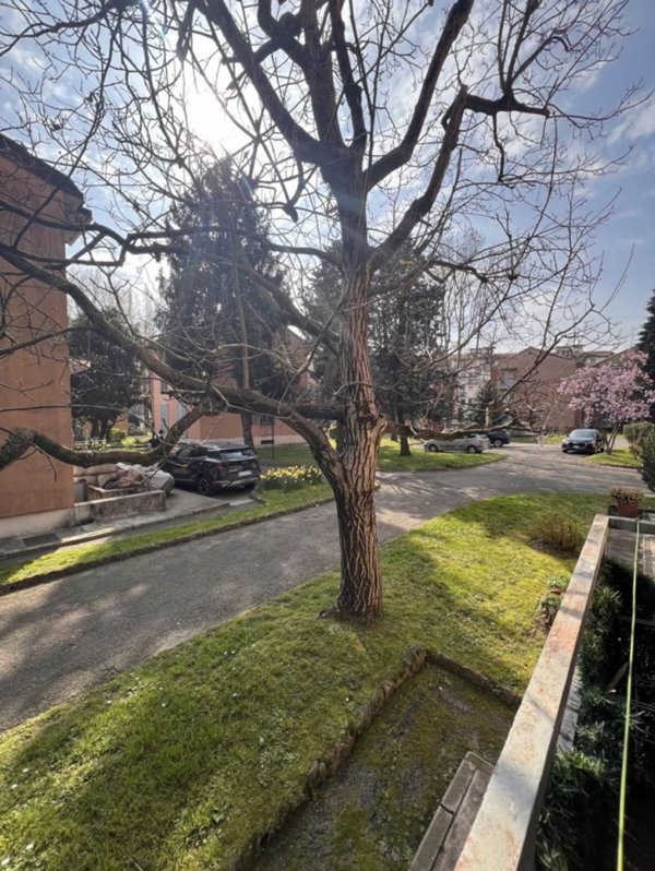 appartamento in vendita a Milano in zona Forlanini