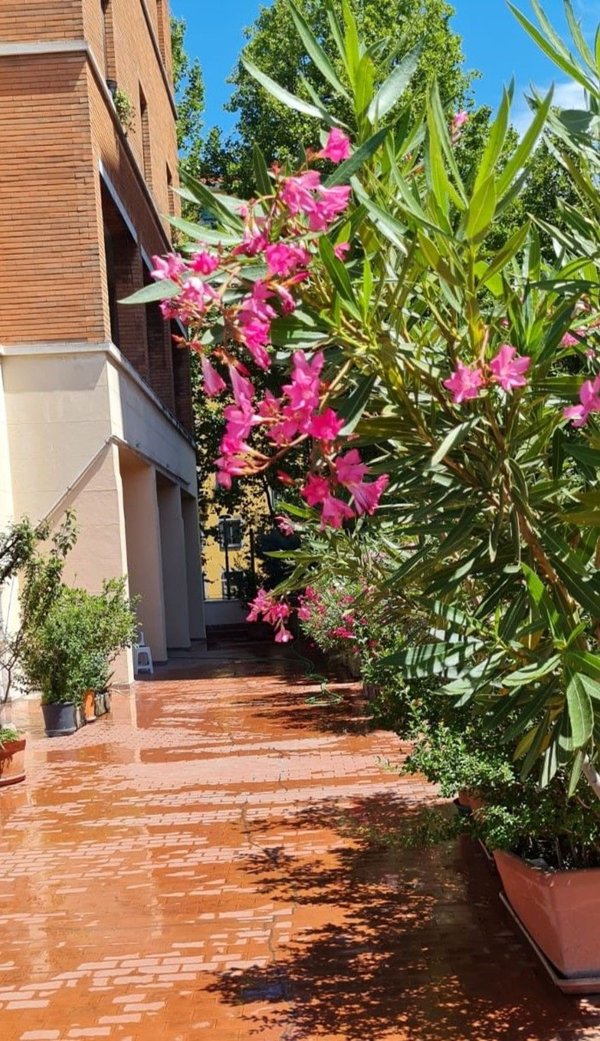 appartamento in vendita a Milano in zona Il Portello