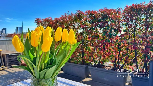 appartamento in vendita a Milano in zona Sempione