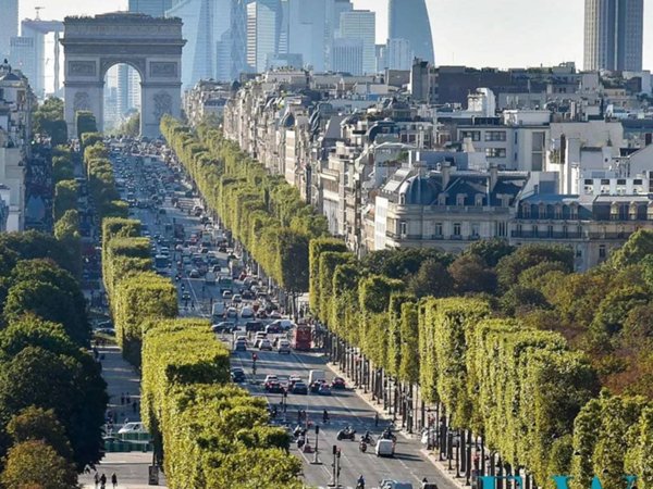 appartamento in vendita a Milano in zona Sempione