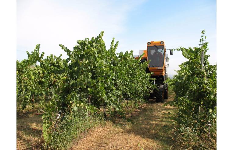 casa indipendente in vendita a Milano in zona Stazione Centrale