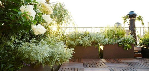 appartamento in vendita a Milano in zona Città Studi