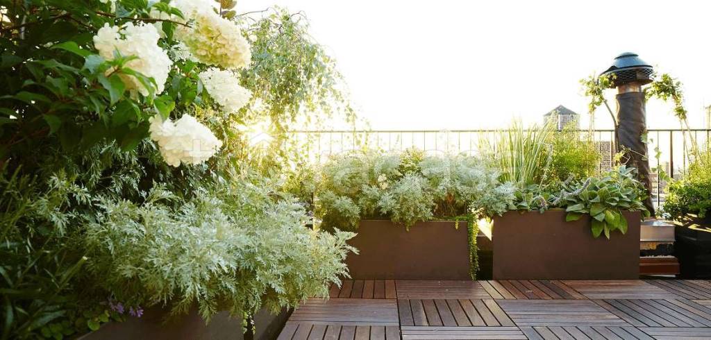 appartamento in vendita a Milano in zona Città Studi