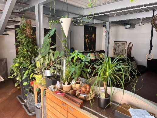 appartamento in vendita a Milano in zona Ortica