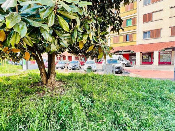 appartamento in vendita a Milano in zona Trenno