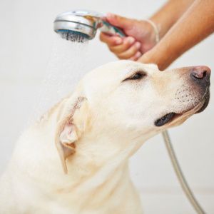 negozio in vendita a Milano in zona Centro Storico