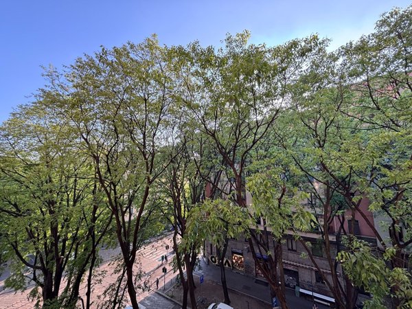 appartamento in vendita a Milano in zona Città Studi