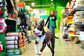 negozio in vendita a Milano in zona Centro Storico