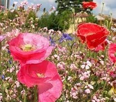 terreno edificabile in vendita a Milano in zona Porta Garibaldi