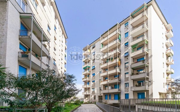 appartamento in vendita a Milano in zona Maggiolina