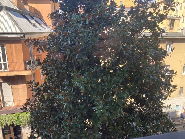 appartamento in vendita a Milano in zona Solari