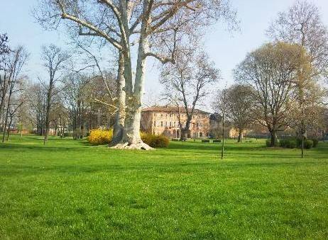 appartamento in vendita a Milano in zona Affori