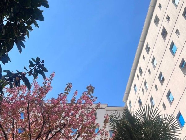 appartamento in vendita a Milano in zona Forze Armate