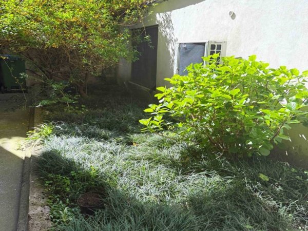 appartamento in vendita a Milano in zona Città Studi