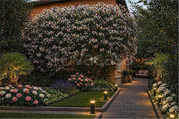 casa indipendente in vendita a Milano in zona Maggiolina